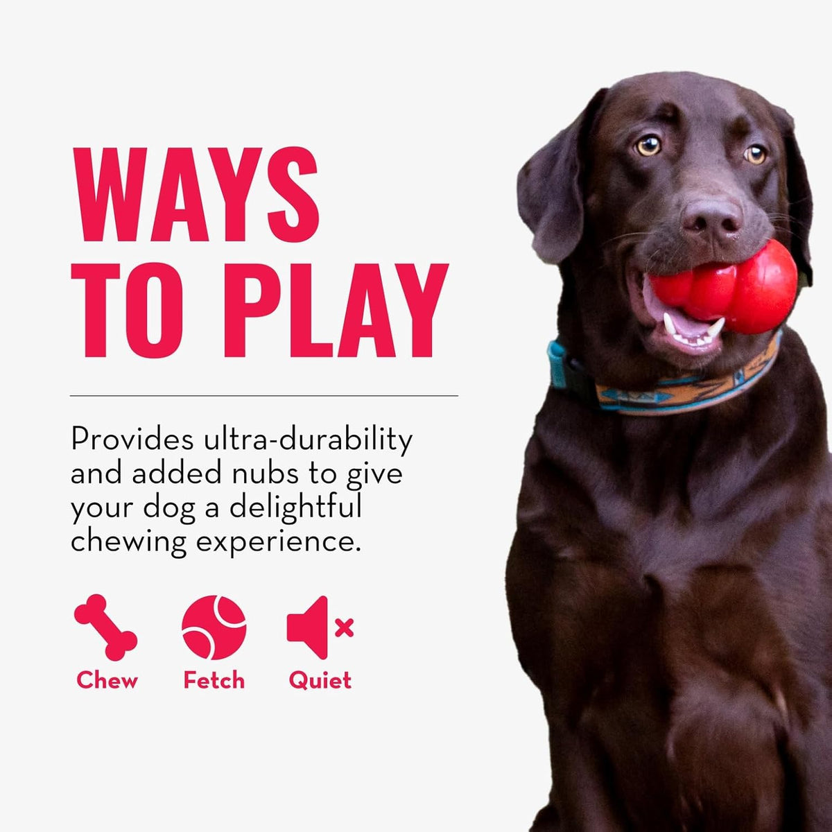 KONG Ring - Natural Rubber Ring Toy for Healthy Chewing Habits - Chew Toy Supports Dog Dental Health - Dog Toy - view 5
