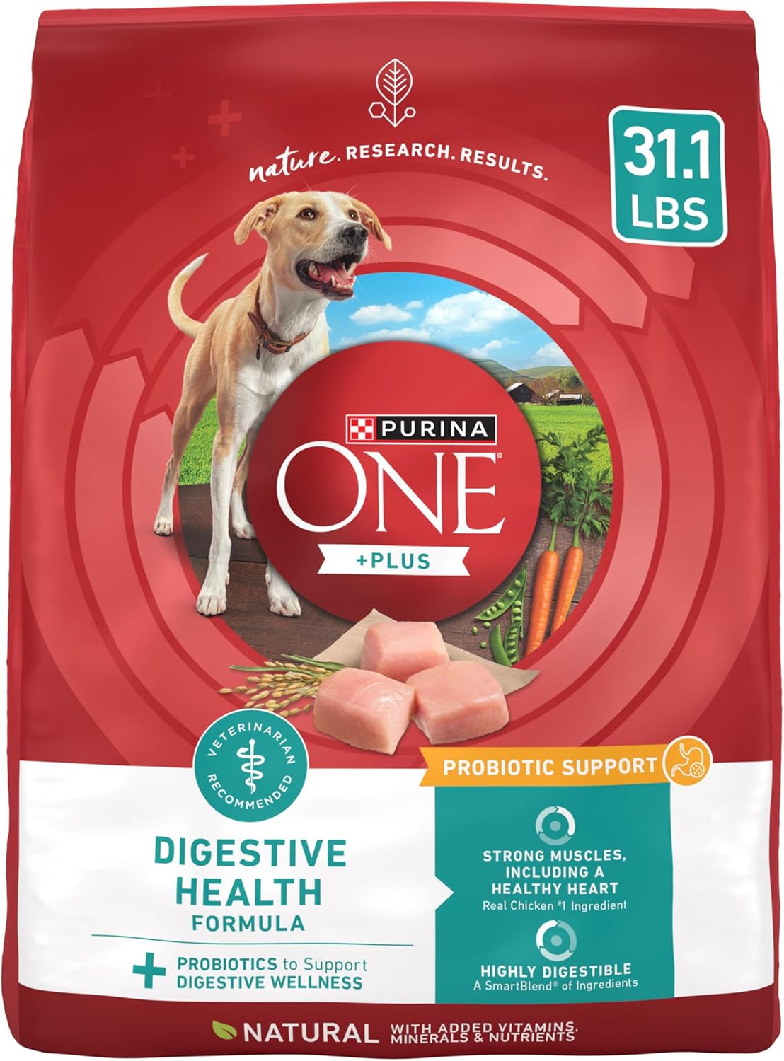 Purina One Plus Digestive Health Formula Dry Dog Food Natural with Added Vitamins, Minerals and Nutrients - 31