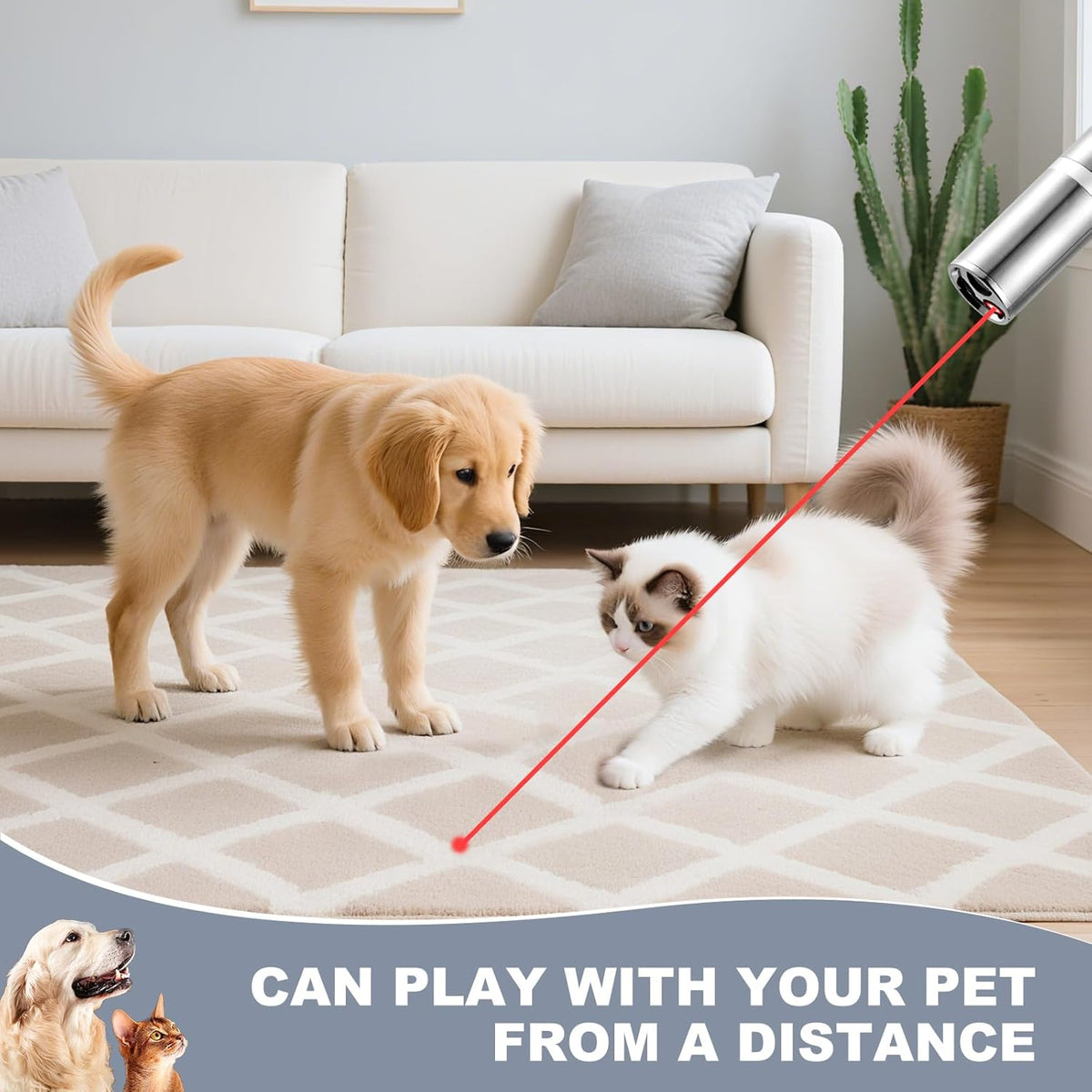 Laser Pointer, Bird Toys for Indoor Birds, Bird Laser Toy, Red Dot LED Light Pointer Interactive Toys for Indo - view 7