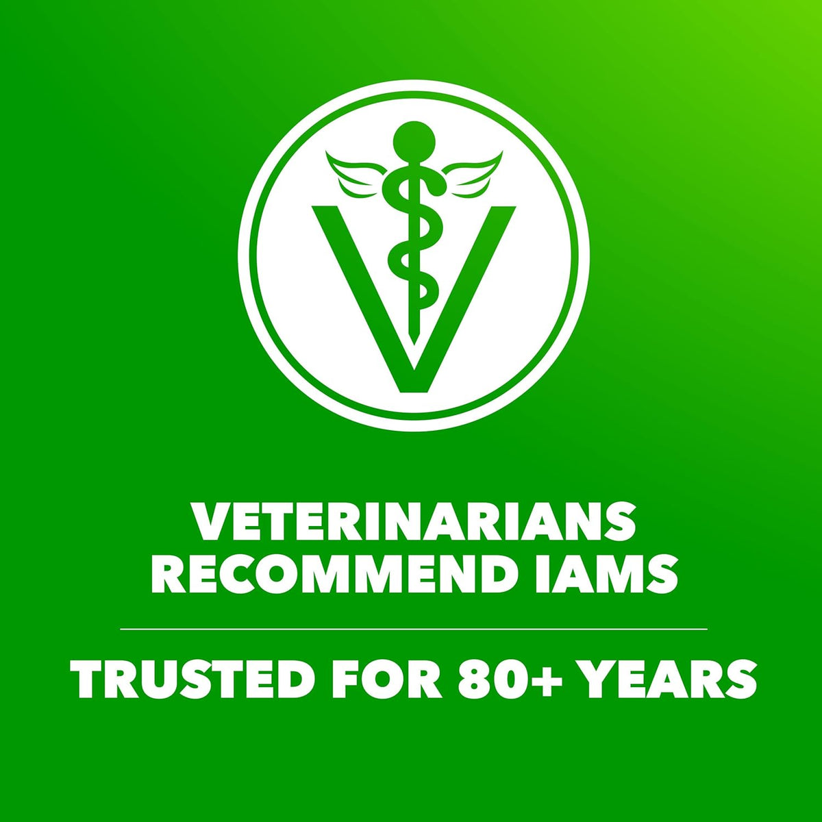 IAMS Proactive Health Small Breed Adult Dry Dog Food Chicken & Whole Grain Recipe, 7 lb. Bag - view 6
