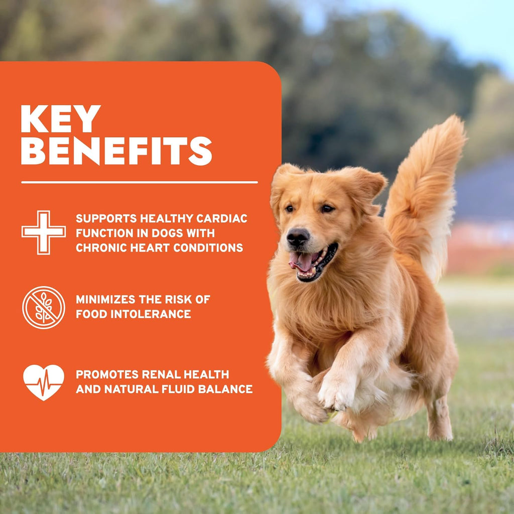 Forza10 - Dog Food, Limited Ingredient Dog Food with Omega‑3, Non-GMO, Dry Food for Kidney Support, Made in It - view 4