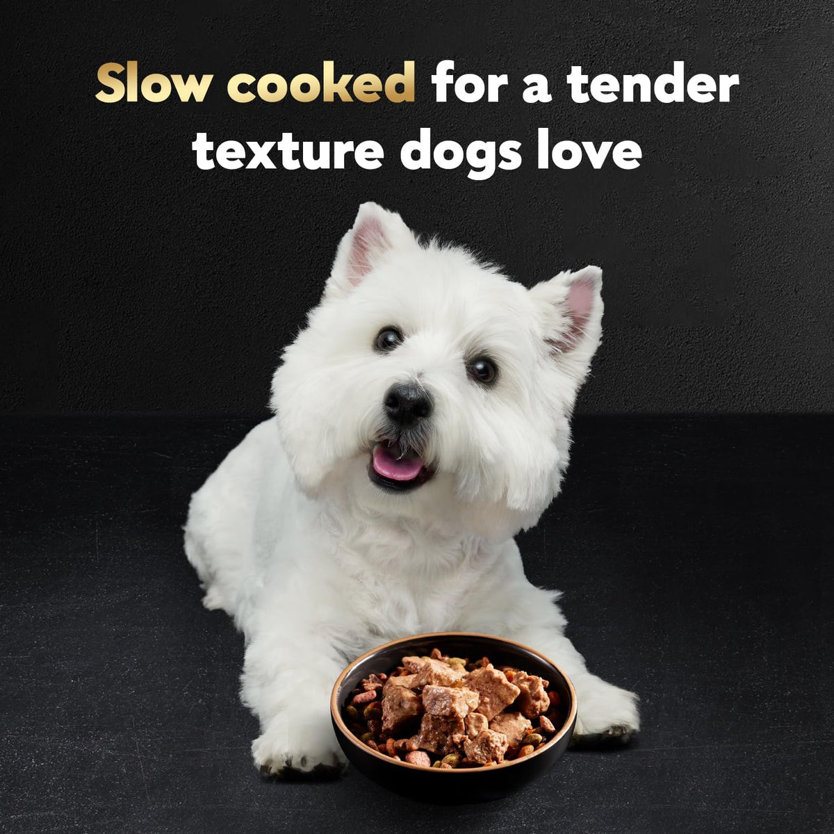 Cesar Loaf in Sauce Wet Dog Food Rotisserie Chicken, Filet Mignon, Angus Beef, and Ham & Egg Flavors Variety P - view 3