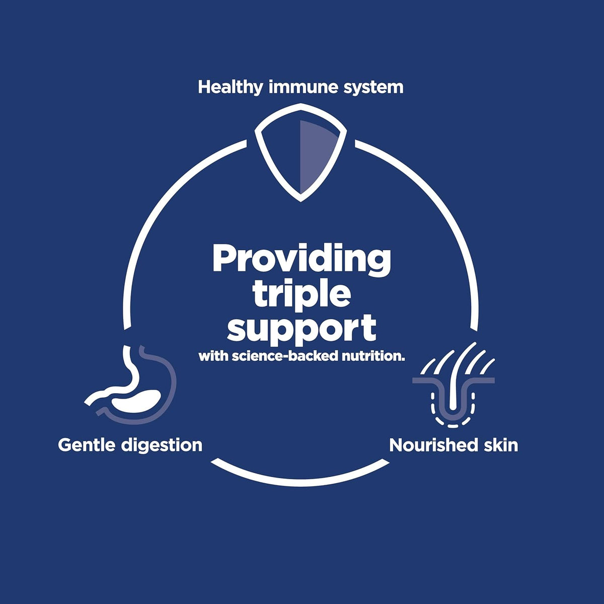 Hill's Science Diet Sensitive Stomach & Skin, Adult 1-6, Stomach & Skin Sensitivity Support, Small Kibble, Dry - view 3
