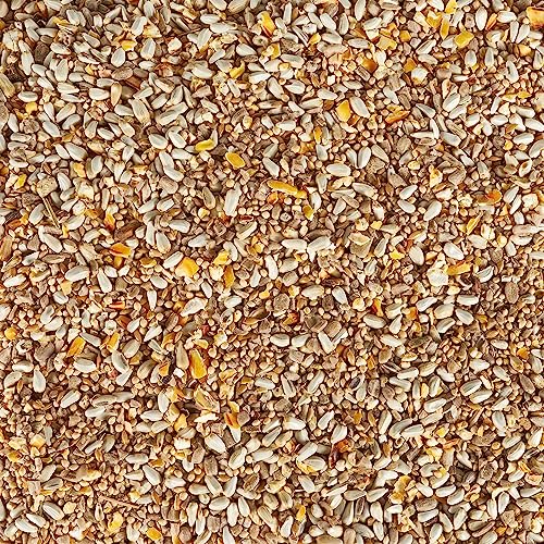 Kaytee Bird & Balcony Wild Bird Food No Mess Seed Blend for City Dwelling Birds Like Finches, Sparrows, Mourni - view 4