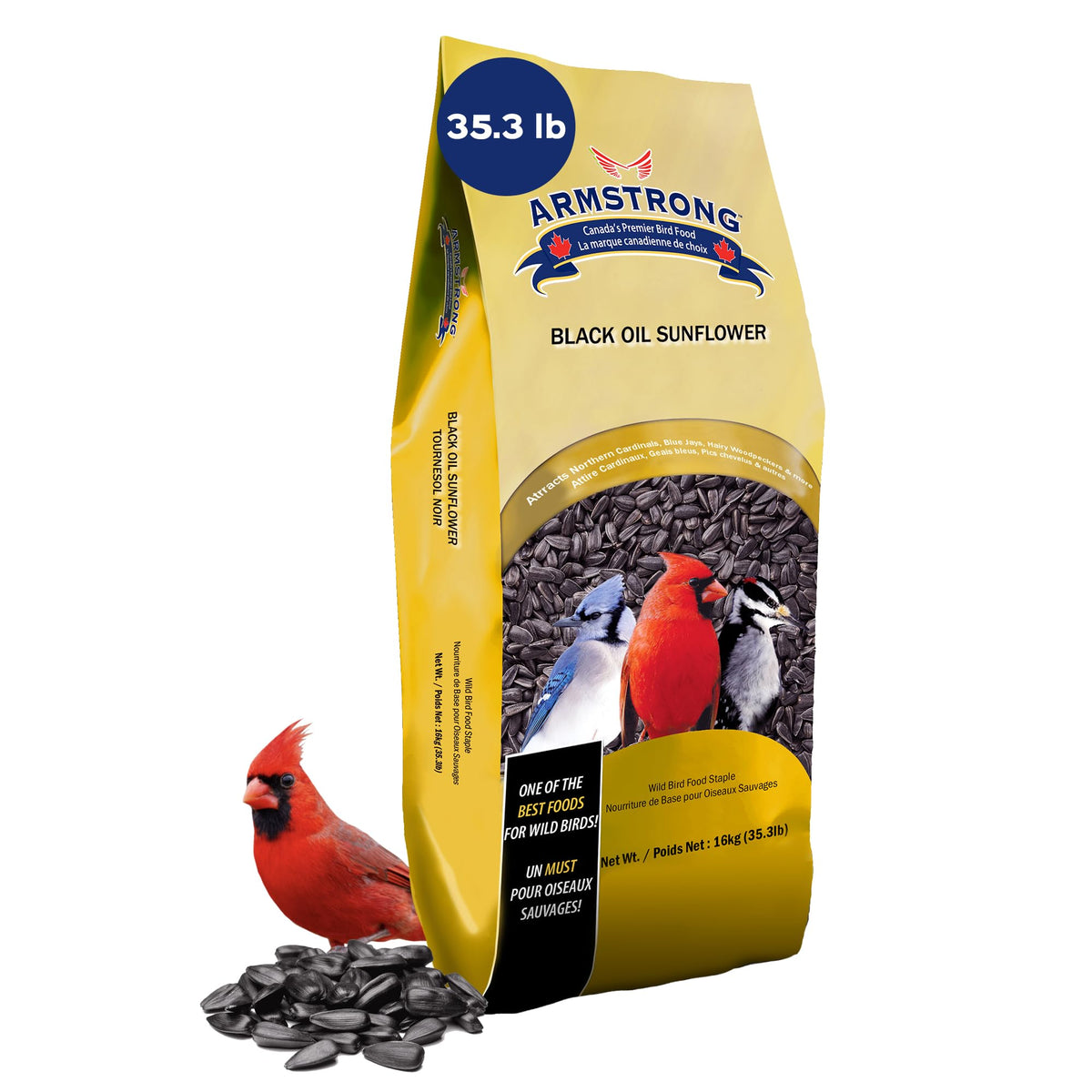 Armstrong Wild Bird Food Black Oil Sunflower Bird Seed, 35.3 Pounds - for Northern Cardinals, Blue Jays and Ha