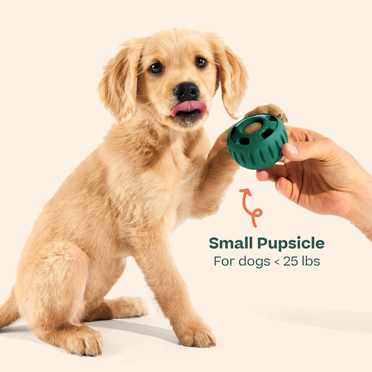 WOOF Pupsicle - Long-Lasting Interactive Dog Toy to Keep Your Pup Busy and Distracted - Safe for Dogs - Low-Me - view 8