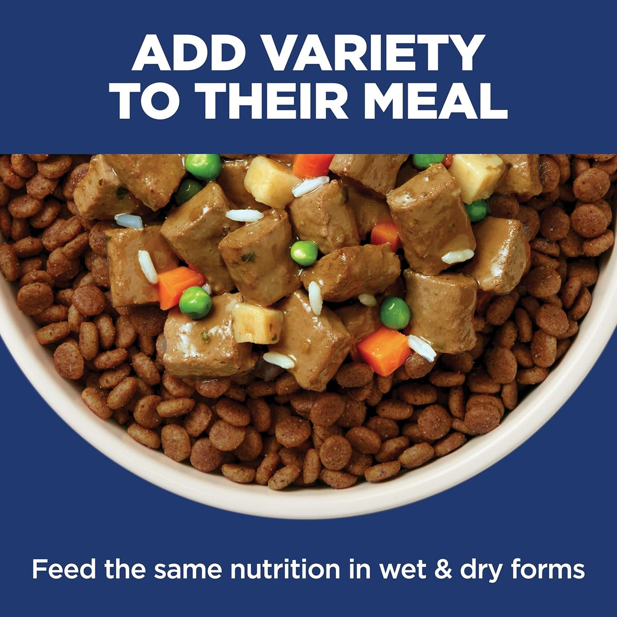 Hill's Science Diet Sensitive Stomach & Skin, Adult 1-6, Stomach & Skin Sensitivity Support, Dry Dog Food, Chi - view 9
