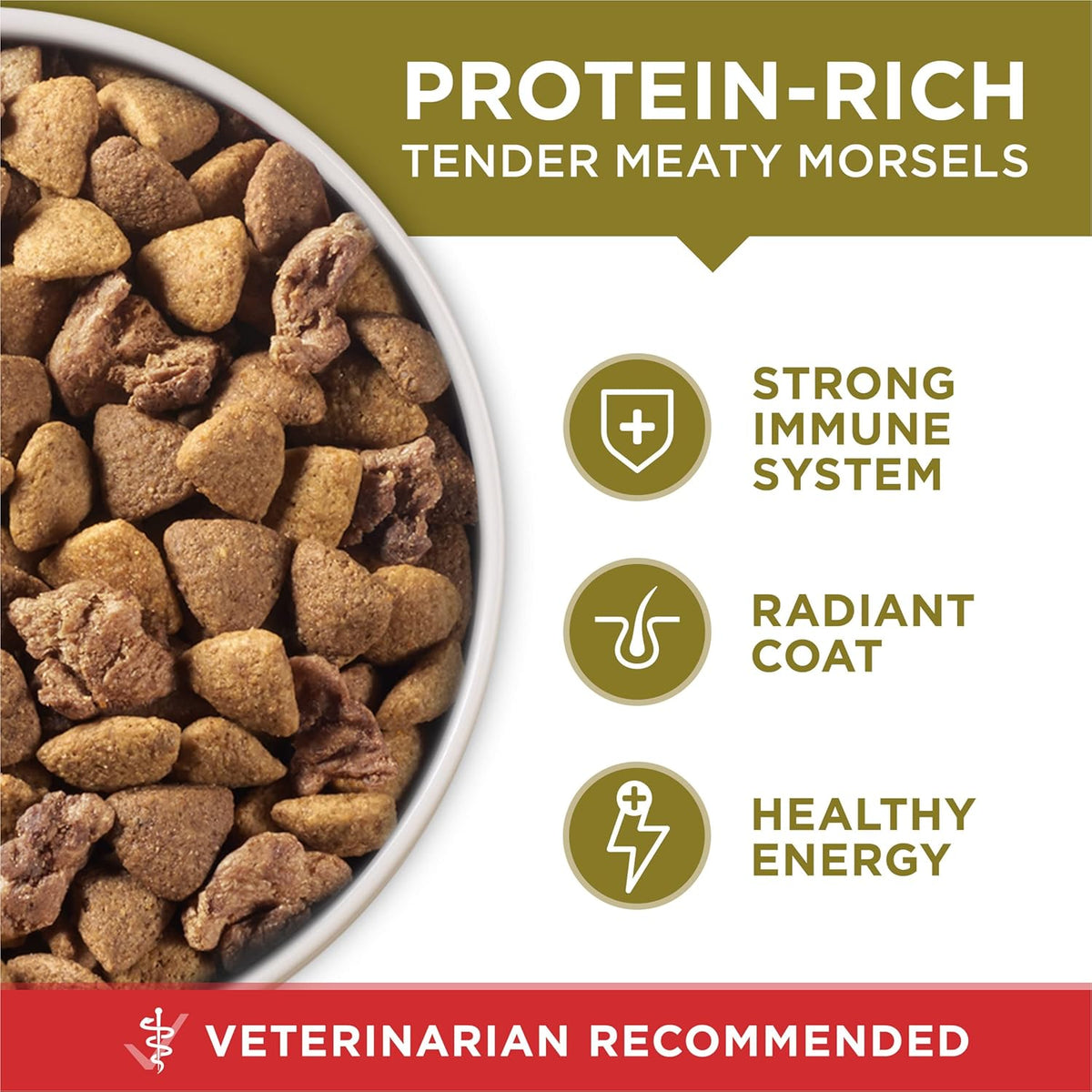 Purina ONE Dry Dog Food Lamb and Rice Formula - 31.1 lb. Bag - view 2
