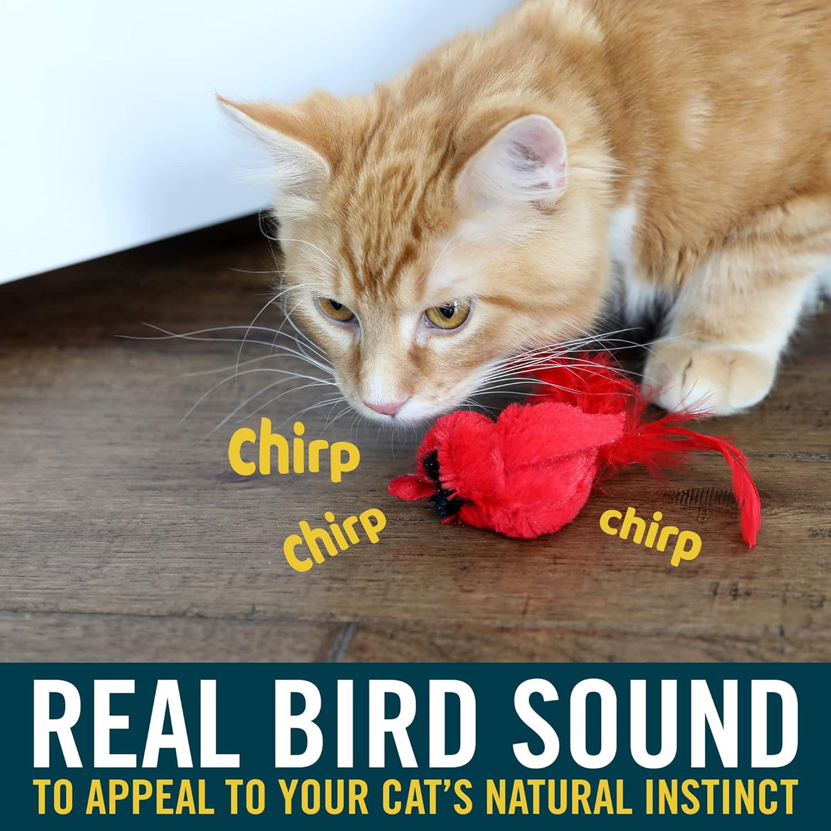 OurPets Play-N-Squeak Real Birds Interactive Cat Toys with Catnip (Cat Toys for Indoor Cats; Catnip Toy for Ca - view 2