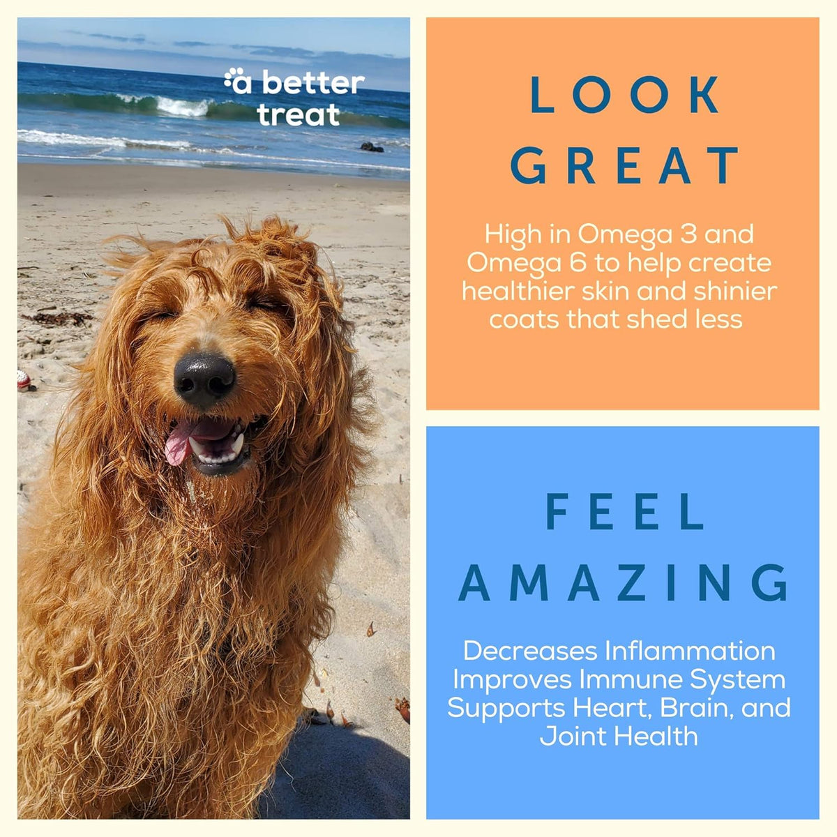 A Better Treat – Freeze Dried Salmon Dog Treats, Wild Caught, Single Ingredient | Natural High Value | Gluten  - view 6