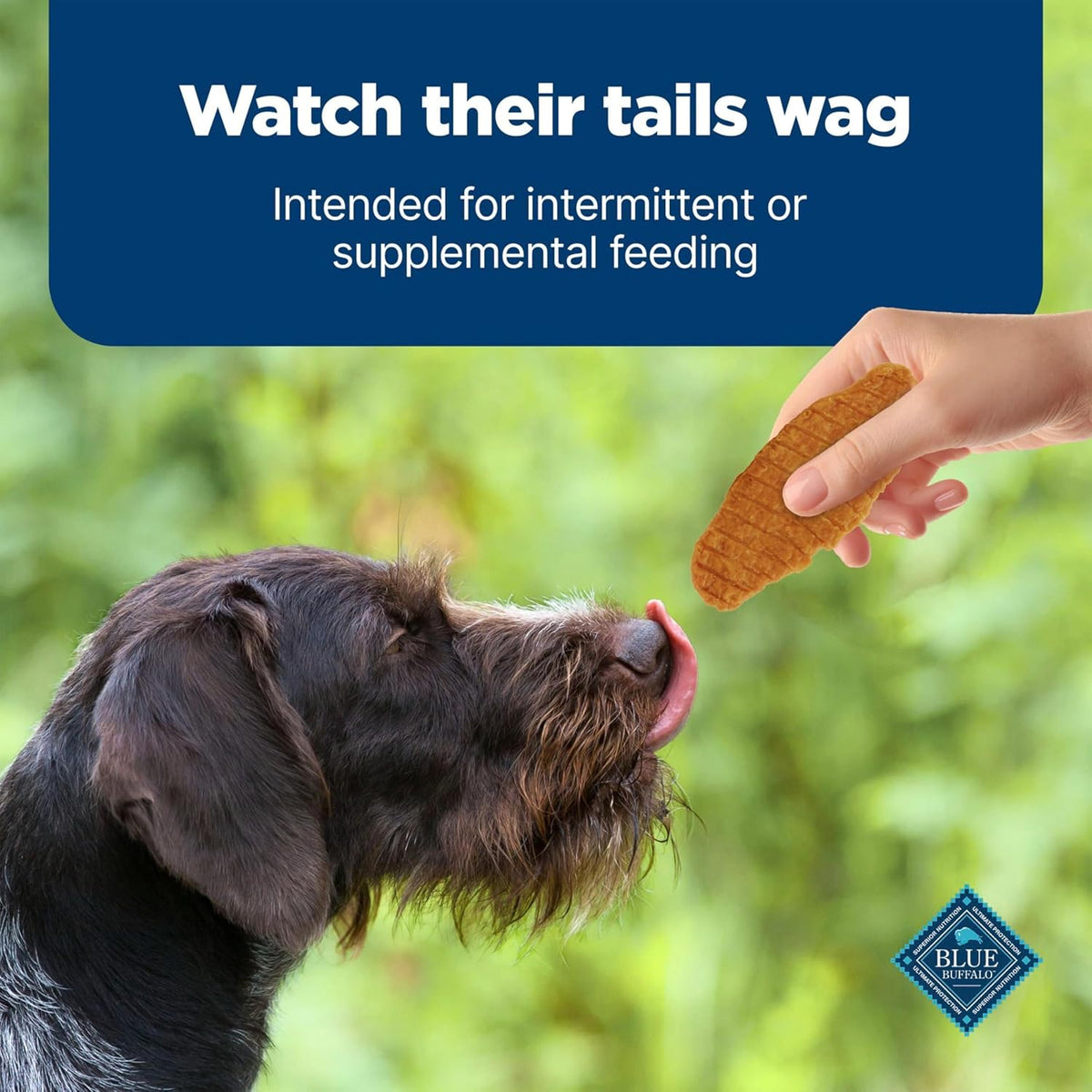 Blue Buffalo Nudges Jerky Cuts Natural Dog Treats Chicken - view 9