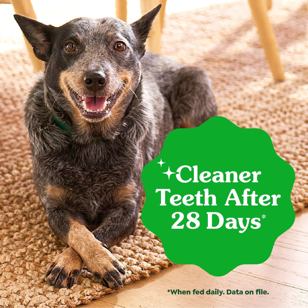 Greenies Veterinarian-Recommended Adult Natural Dental Dog Treats Regular Size, Original Flavor, 36 oz. Pack,  - view 4