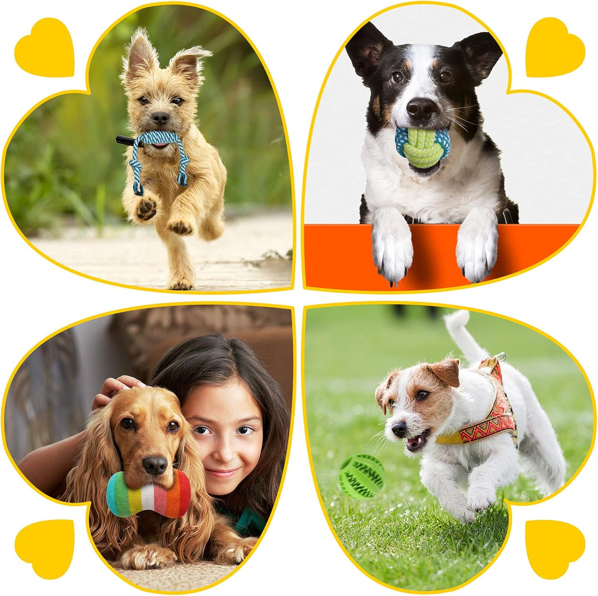 Zeaxuie 25 Pack Luxury Dog Chew Toys for Puppy, Dog Toys with Ropes, Treat Ball and Squeaky Puppy Toys for Tee - view 4