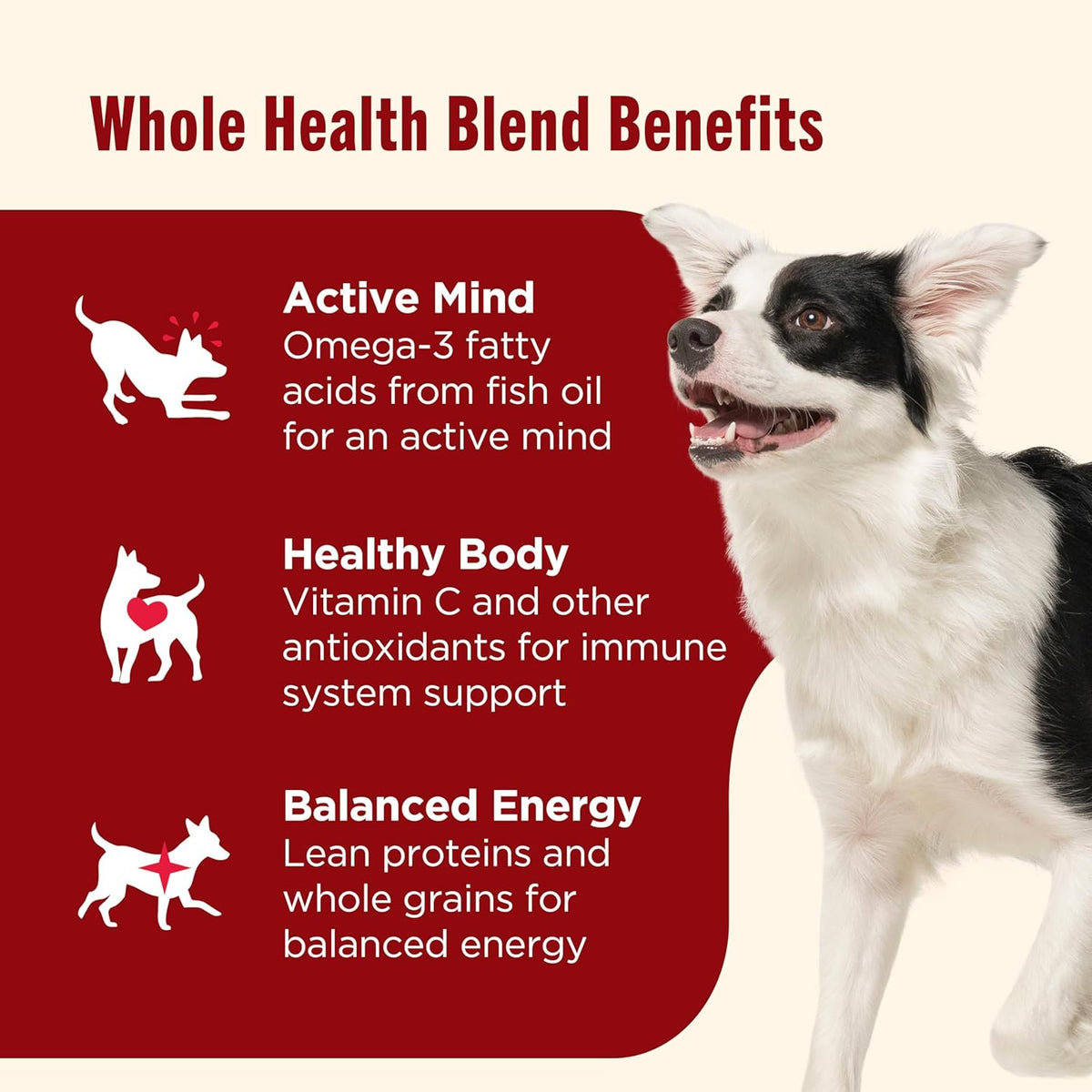 Nutrish Dry Dog Food, Real Beef, Pea & Brown Rice Recipe Whole Health Blend for Adult Dogs, 40 lb. Bag, Packag - view 4