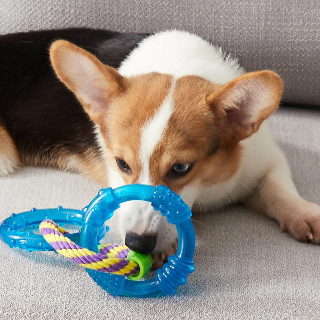 Petstages Dental Links Dog Chew Toy – Puppies & Adults, Strong Chewers, Multiple Textures & Rope, 8.5" x 4" x  - view 8