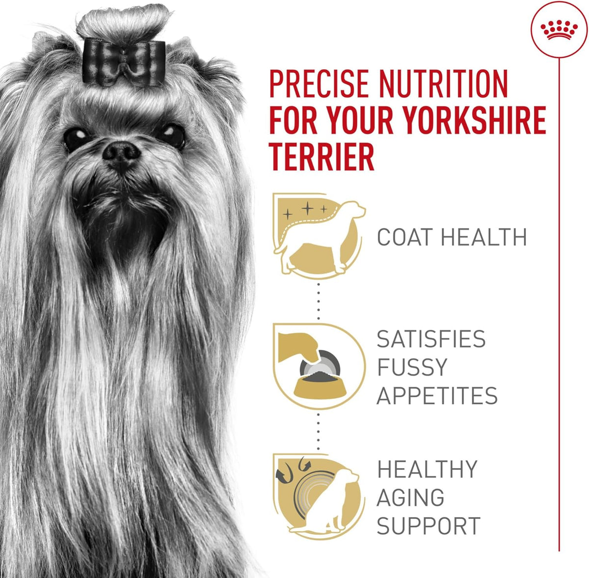 Royal Canin Breed Health Nutrition Yorkshire Terrier Adult Dry Dog Food, 2.5 lb Bag - view 4