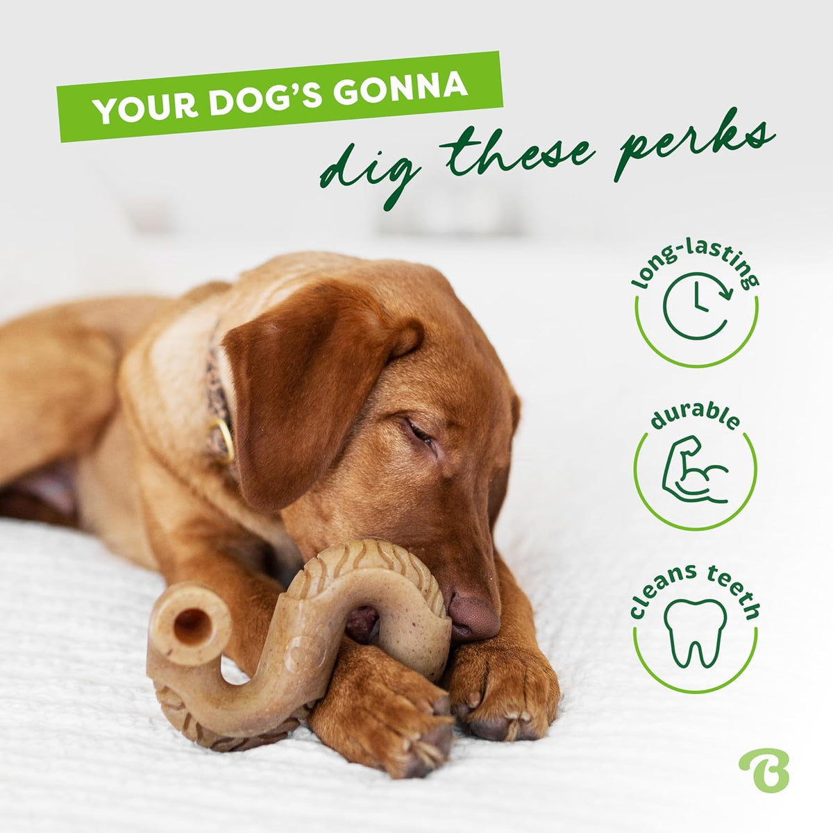 Benebone Tripe Bone Durable Dog Chew Toy for Aggressive Chewers, Real Tripe, Made in USA, Medium - view 3
