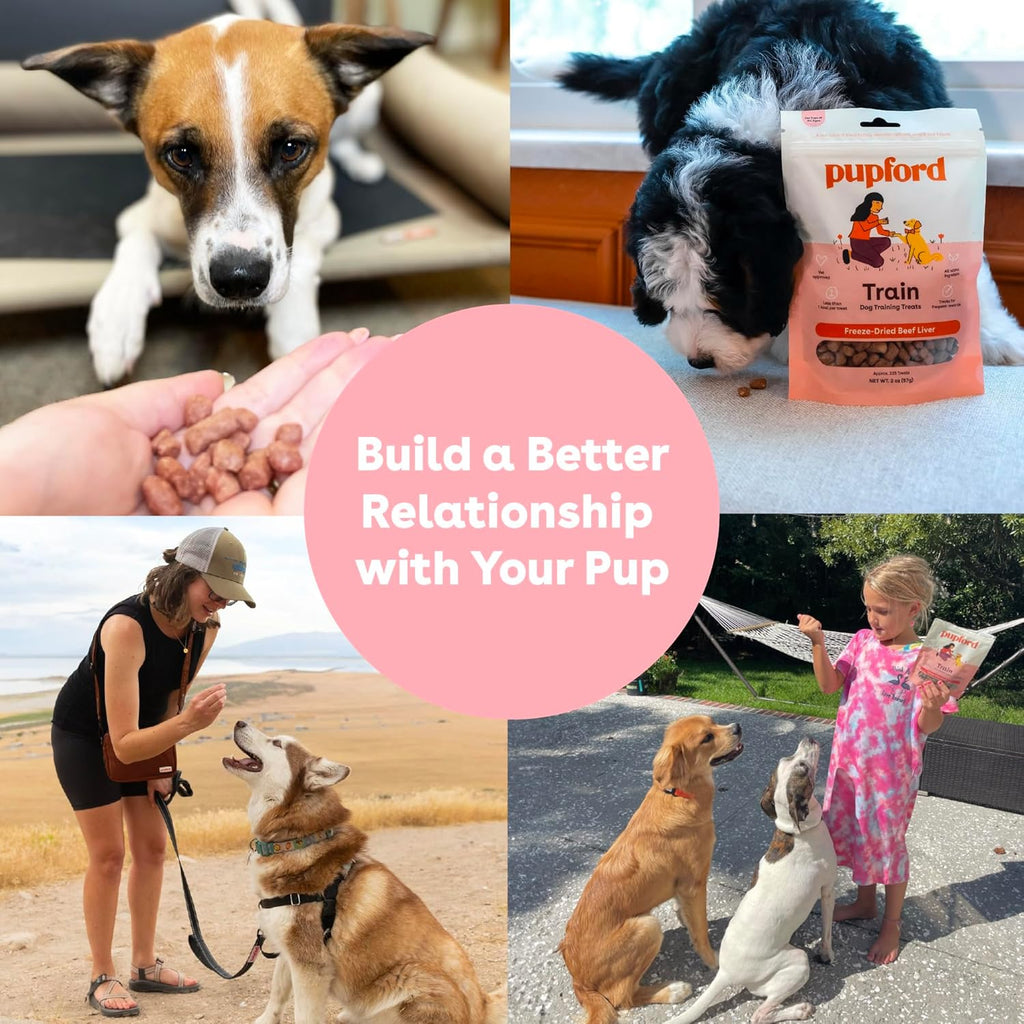 Pupford Freeze Dried Training Treats for Dogs & Puppies, 475+ Three Ingredient Bites (Beef Liver, 4 oz) - view 6