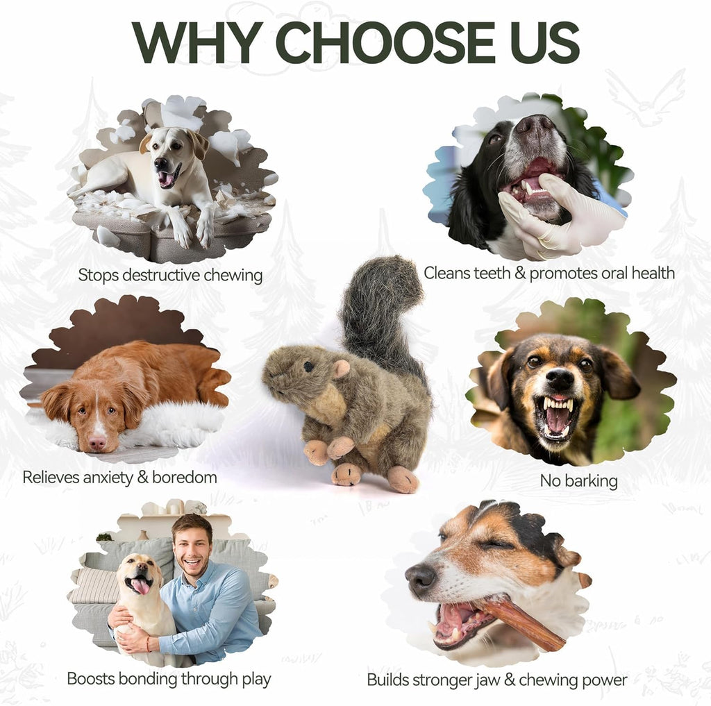 ALL FOR PAWS Classic Squirrel Pet Toys, Small - view 4