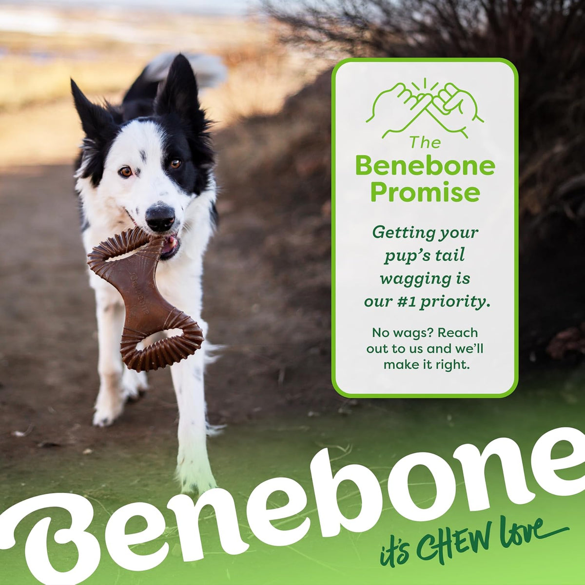 Benebone Dental Durable Dog Chew Toy for Aggressive Chewers, Real Bacon, Made in USA, Medium - view 6