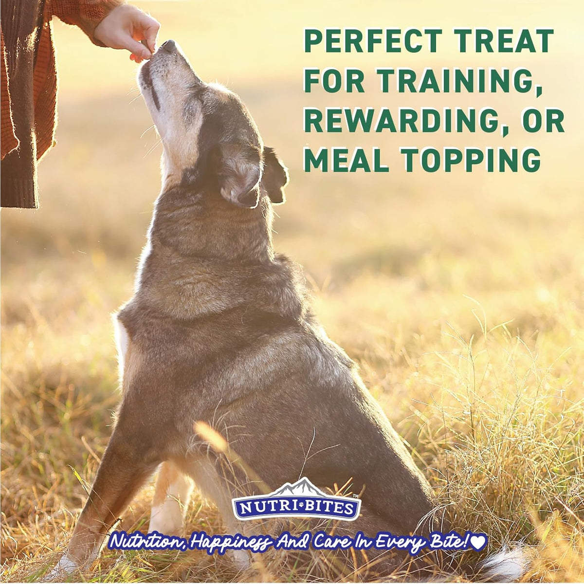 Nutri Bites Freeze Dried Beef Liver Dog & Cat Treats | Healthy Pet Training Treats or Food Topper | All Natura - view 4