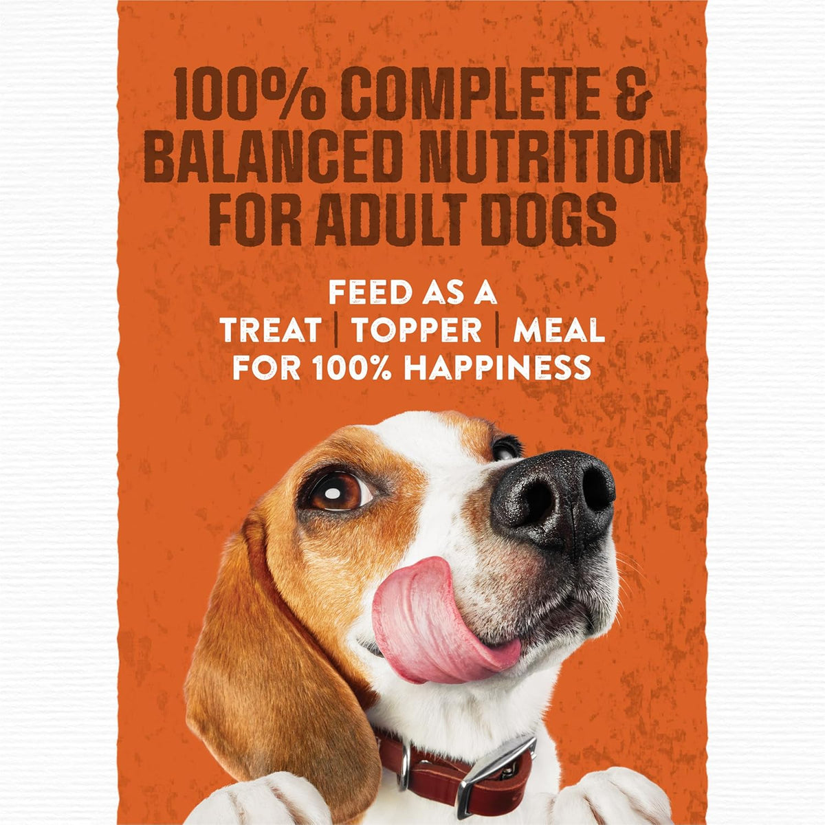 Purina Moist and Meaty Burger With Cheddar Cheese Flavor Dry Soft Dog Food Pouches - 36 ct. Pouch - view 3