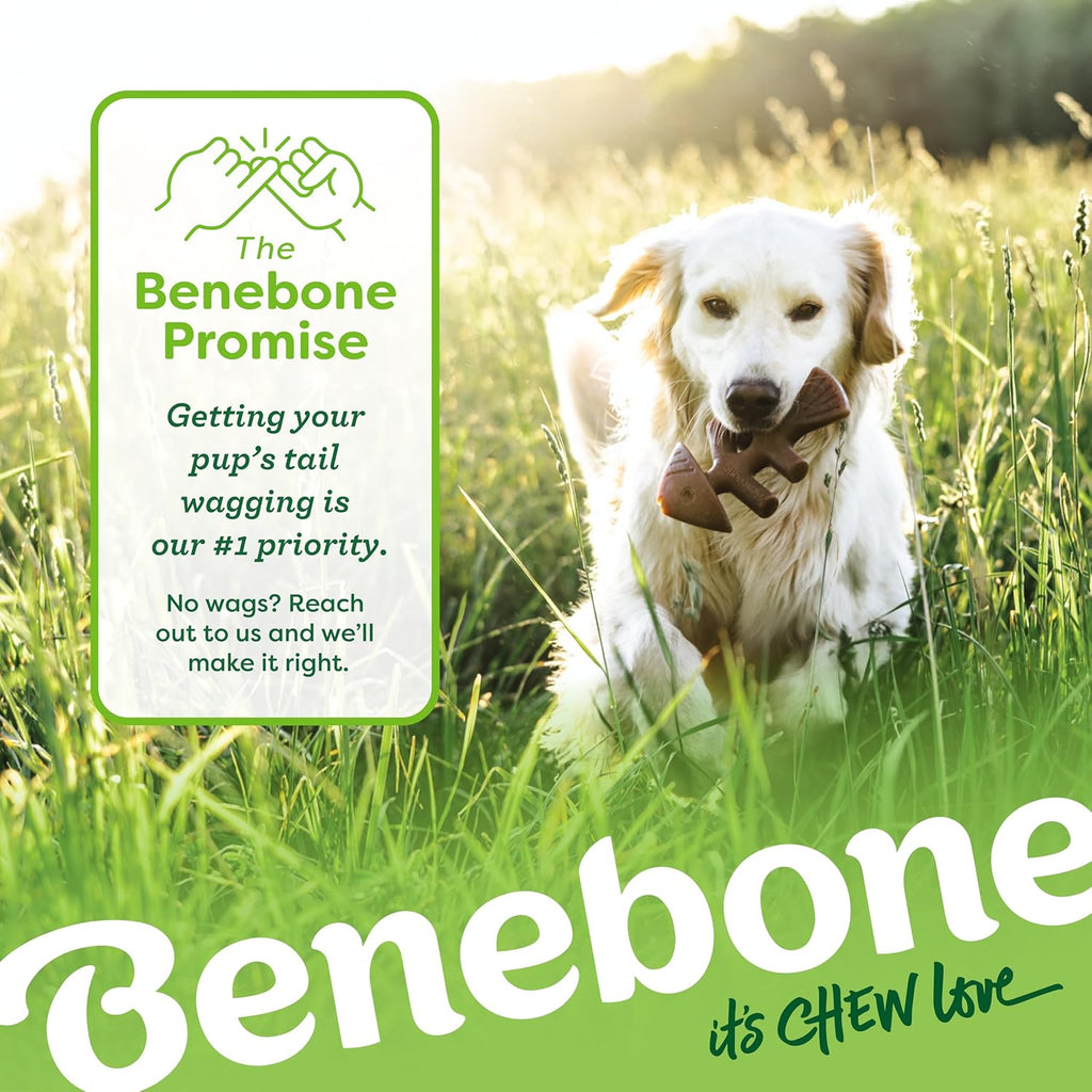 Benebone Small 4-Pack Dog Chew Toys for Aggressive Chewers, Made in USA, 30lbs and Under - view 6