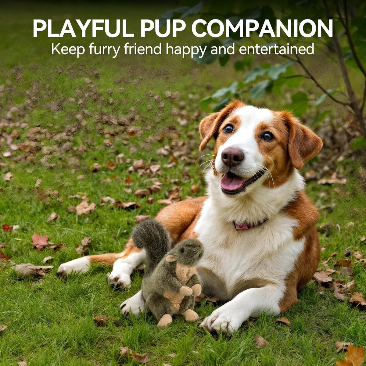 ALL FOR PAWS Classic Squirrel Pet Toys, Small - view 8