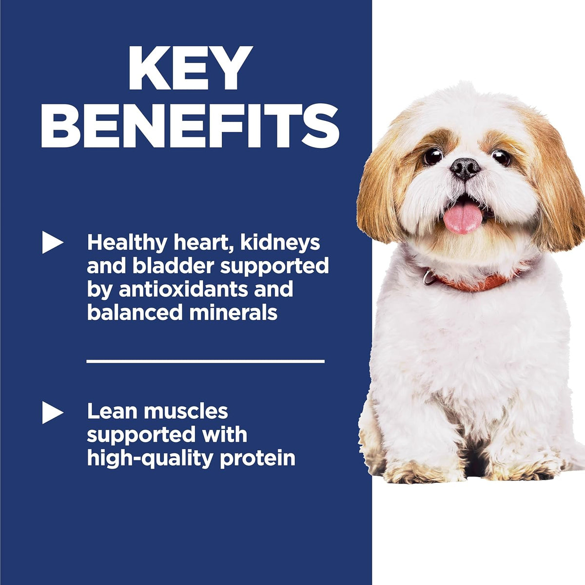 Hill's Science Diet Adult 7+, Senior Adult 7+ Premium Nutrition, Small Kibble, Dry Dog Food, Chicken, Brown Ri - view 4