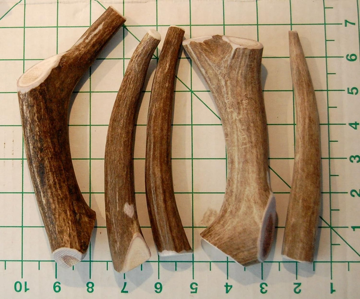 Premium Deer Antler Pieces - Dog Chews - Antlers by The Pound, One Pound - Six Inches or Longer - Medium, Larg - view 5