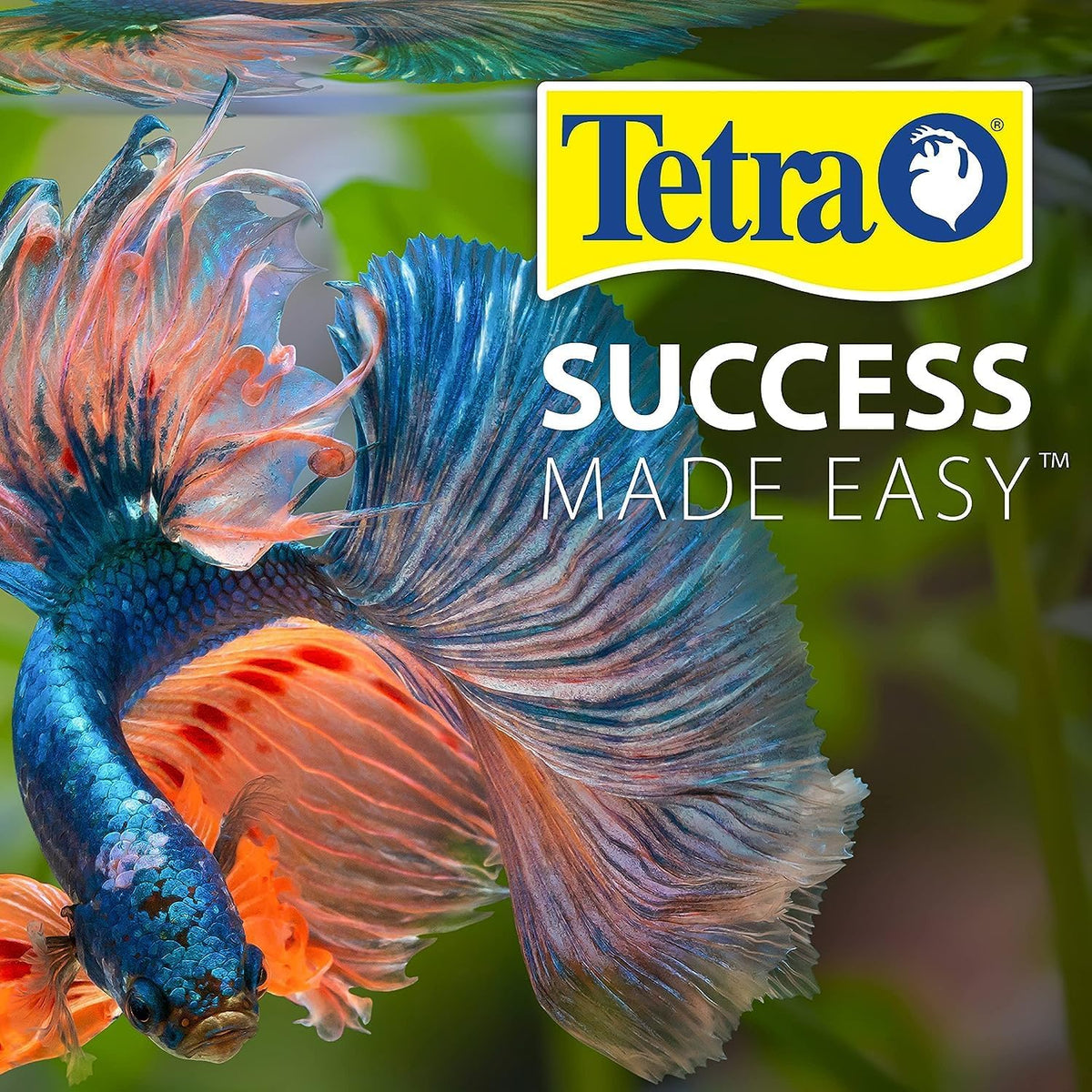 Tetra PRO PlecoWafers 5.29 Ounces, Nutritionally Balanced Vegetarian Fish Food for Bottom Feeders, Concentrate - view 5