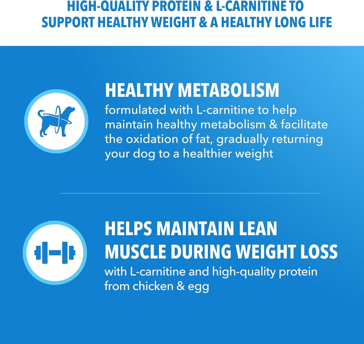 IAMS Proactive Health, Dry Dog Food, Adult Dog Food Dry Recipe for Healthy Weight, with Chicken, 29.1 Lb. Bag - view 4