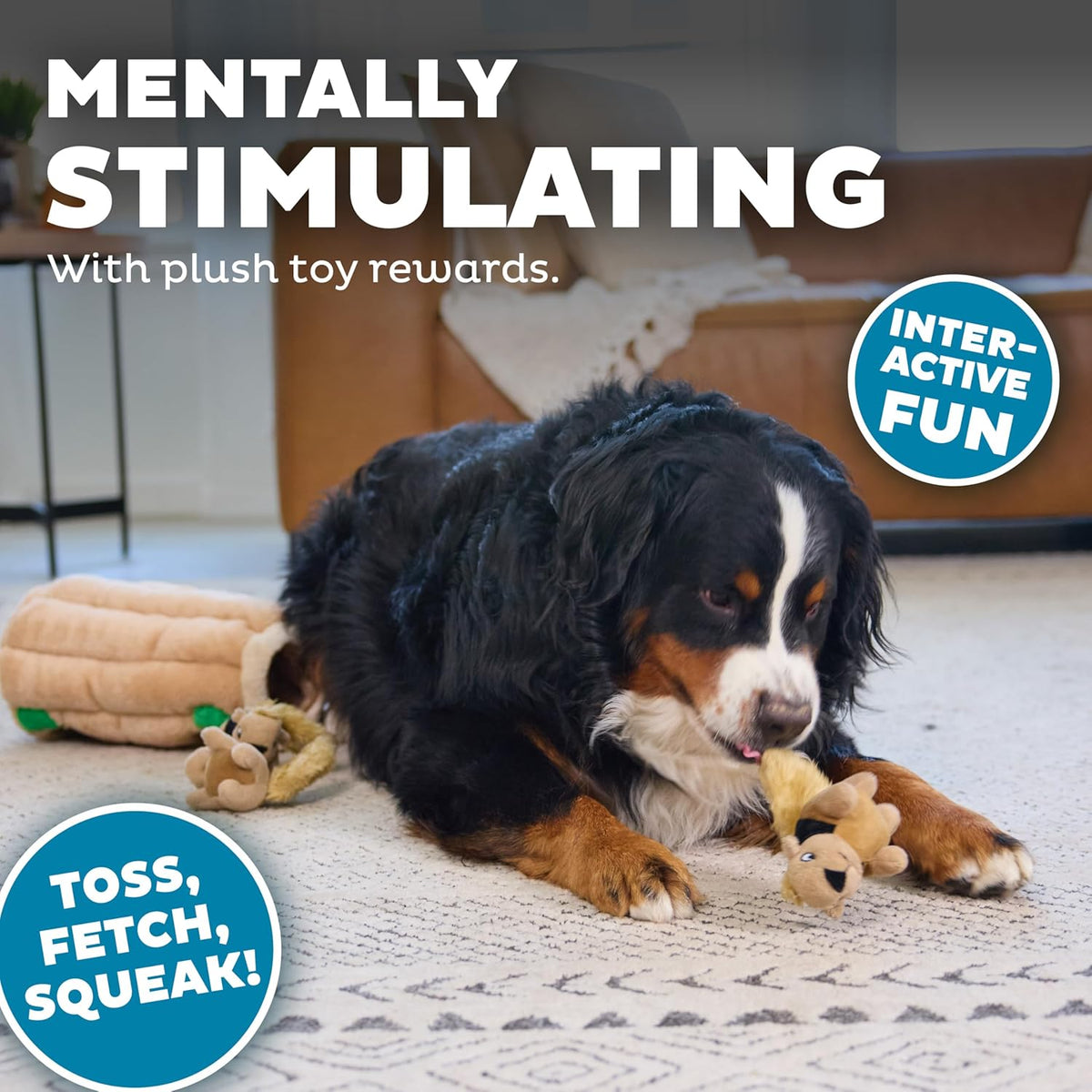 Outward Hound Hide-A-Squirrel Dog Toy – Interactive 2‑in‑1 Plush Puzzle with 6 Squeaky Removable Squirrels, X- - view 4
