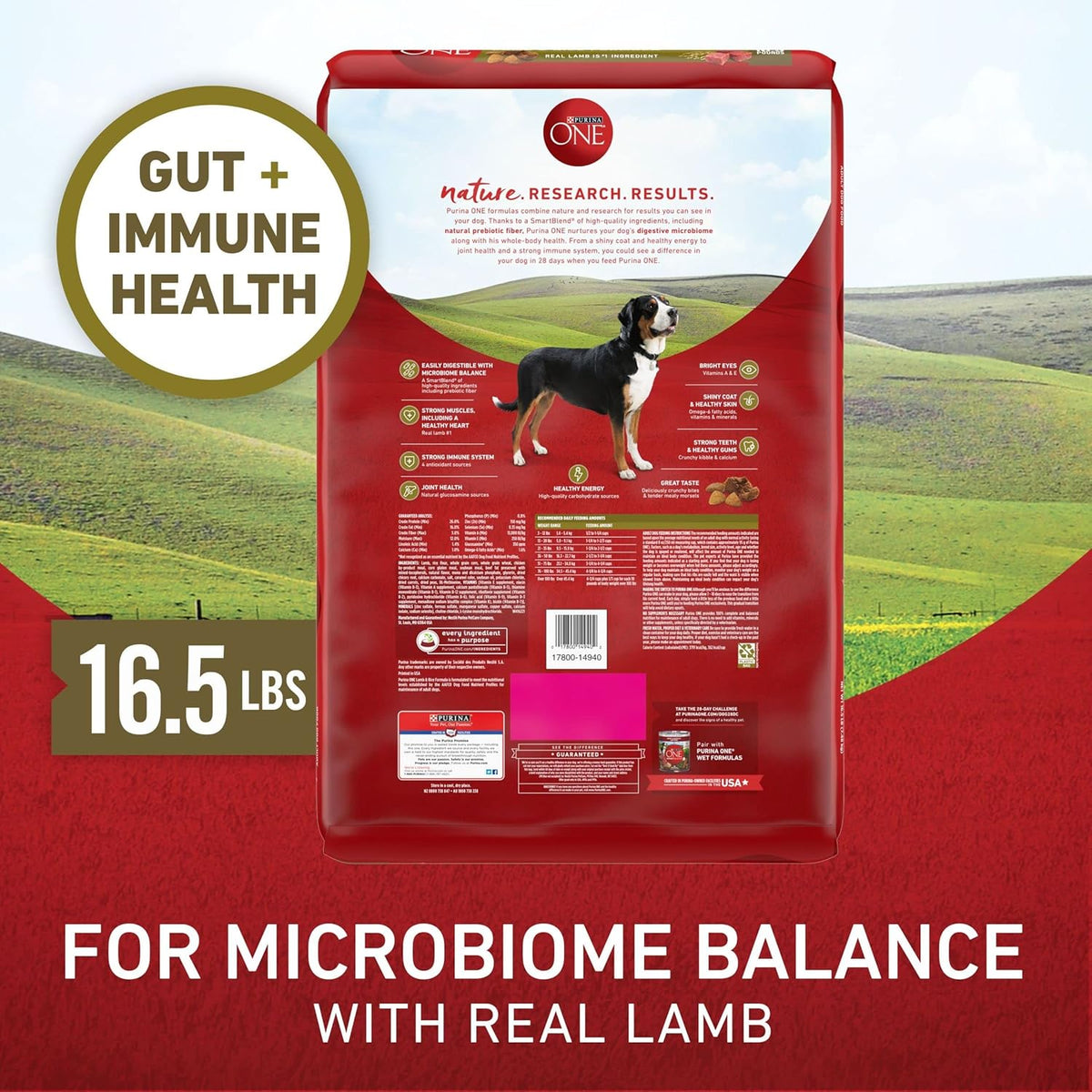 Purina ONE Dry Dog Food Lamb and Rice Formula - 16.5 lb. Bag - view 6