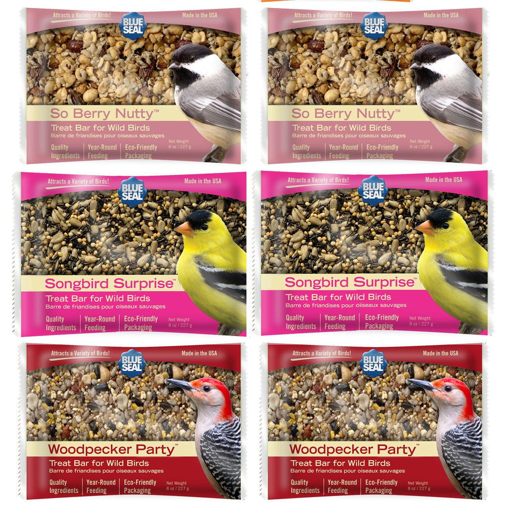 Blue Seal Suet Treat Bars for Wild Birds - No Mess Suet Feed, Food for Woodpeckers, Cardinals, Siskins, Sparro