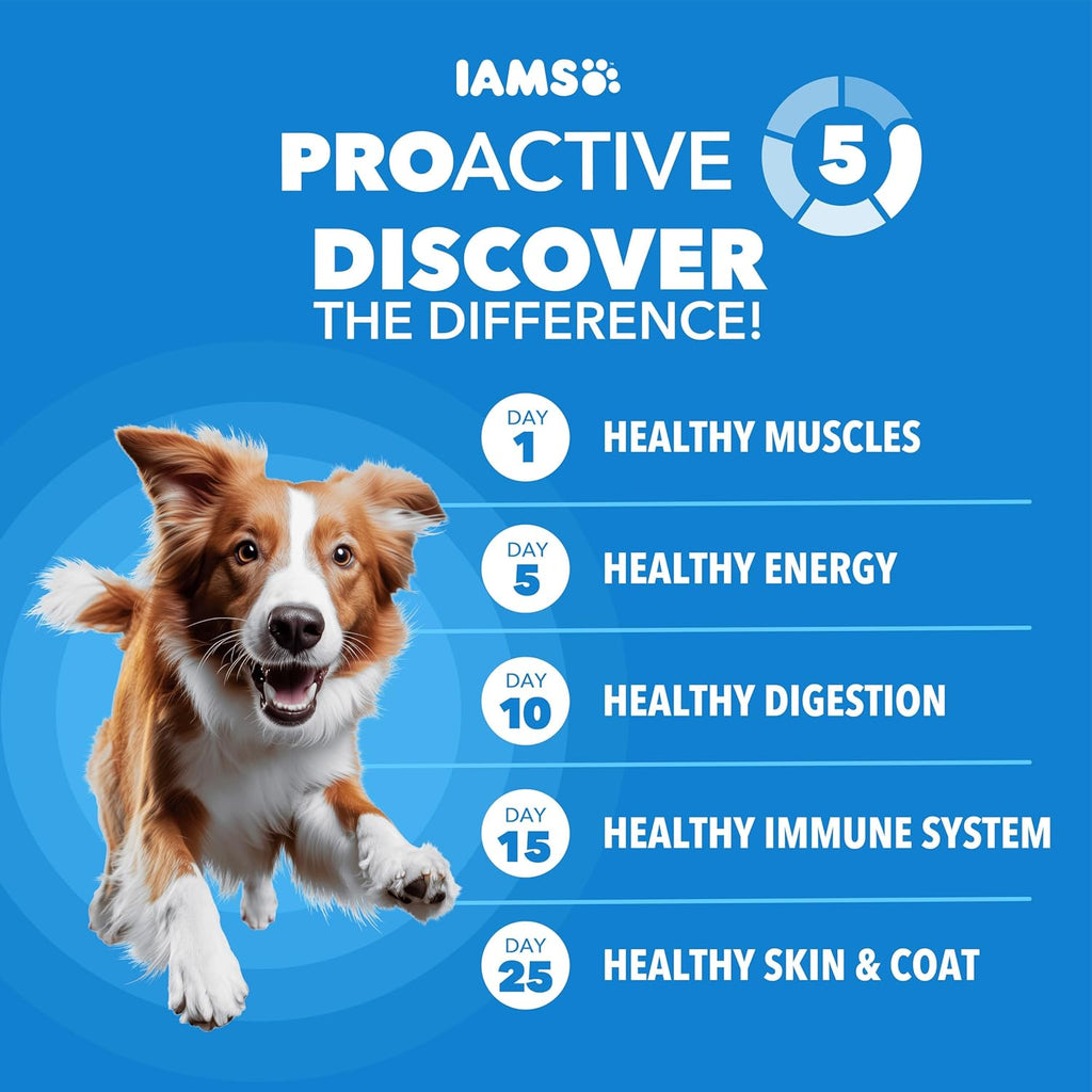 IAMS Proactive Health, Dry Dog Food, Adult Dog Food Dry Recipe for Healthy Weight, with Chicken, 29.1 Lb. Bag - view 2