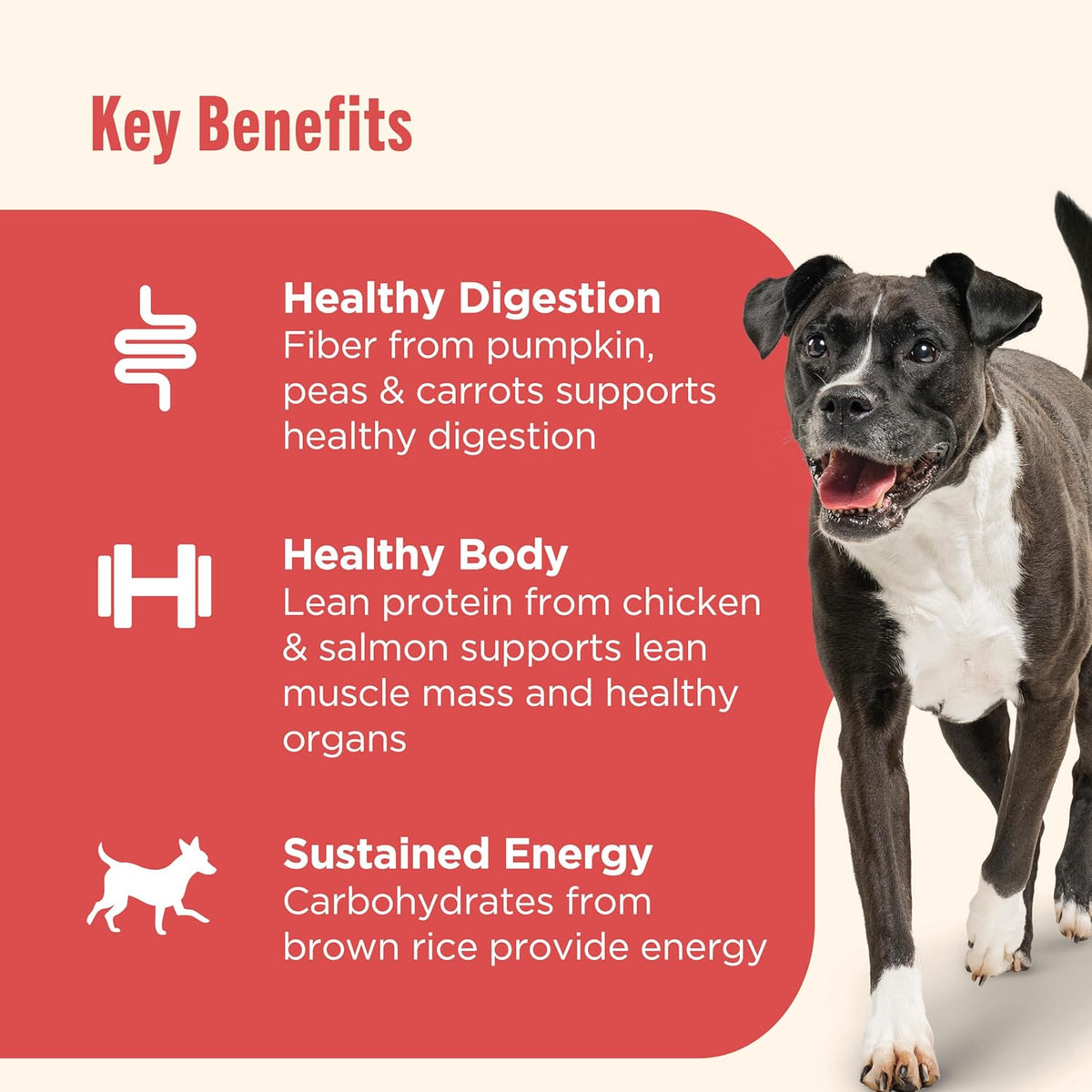 Nutrish Gentle Digestion Premium Paté Wet Dog Food, Real Chicken, Pumpkin & Salmon Recipe, 13 oz. Can, 12 Coun - view 5