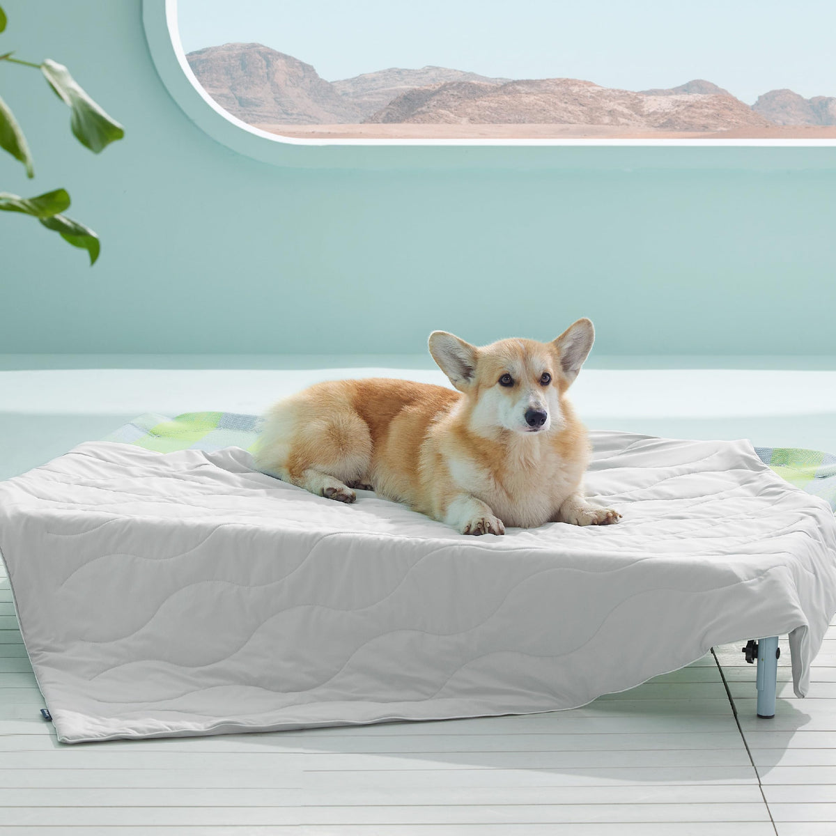 Bedsure Premium Cooling Blanket for Large Dog - Q-MAX>0.5, Breathable Summer Washable Cold Pet Mat, Soft Durab