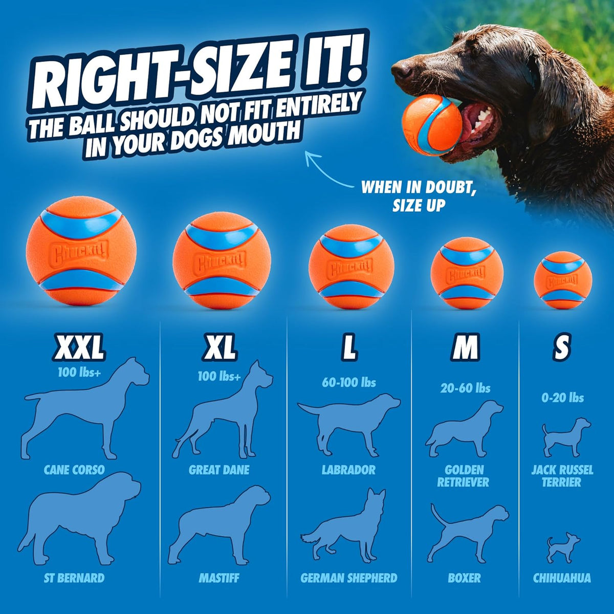 Chuckit! Ultra Ball Dog Toy - Medium Bouncy Fetch Balls For Dogs 20-60 lbs - Made from Durable Rubber - Floati - view 5