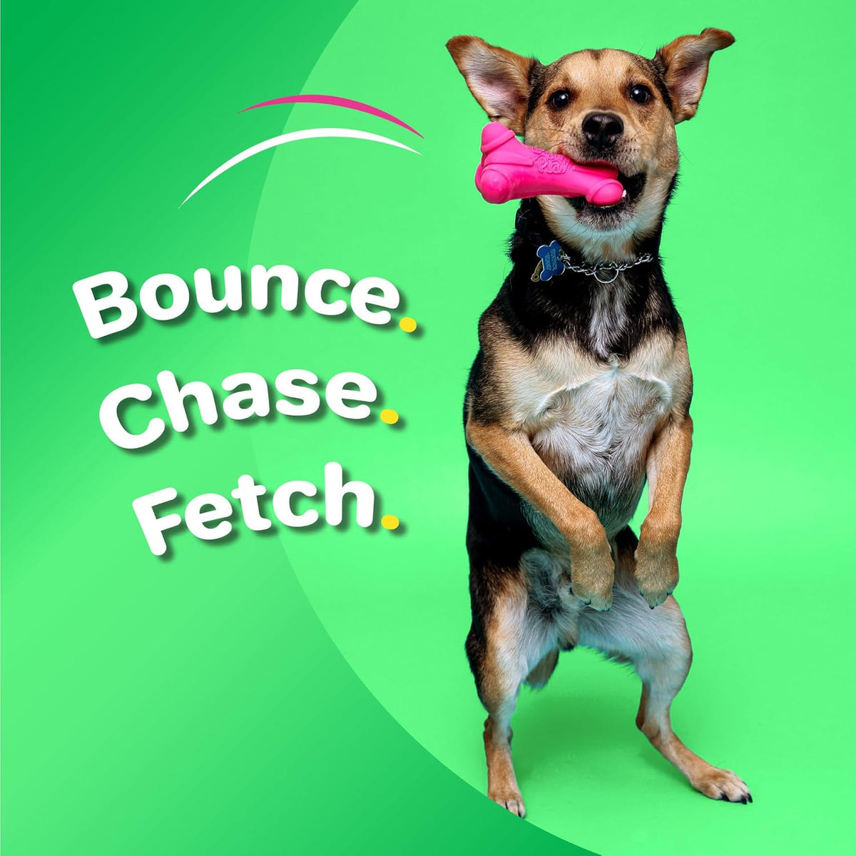 Hartz DuraPlay Bone Squeaky Latex Dog Toy for Medium Breeds, 3 Pack - view 4