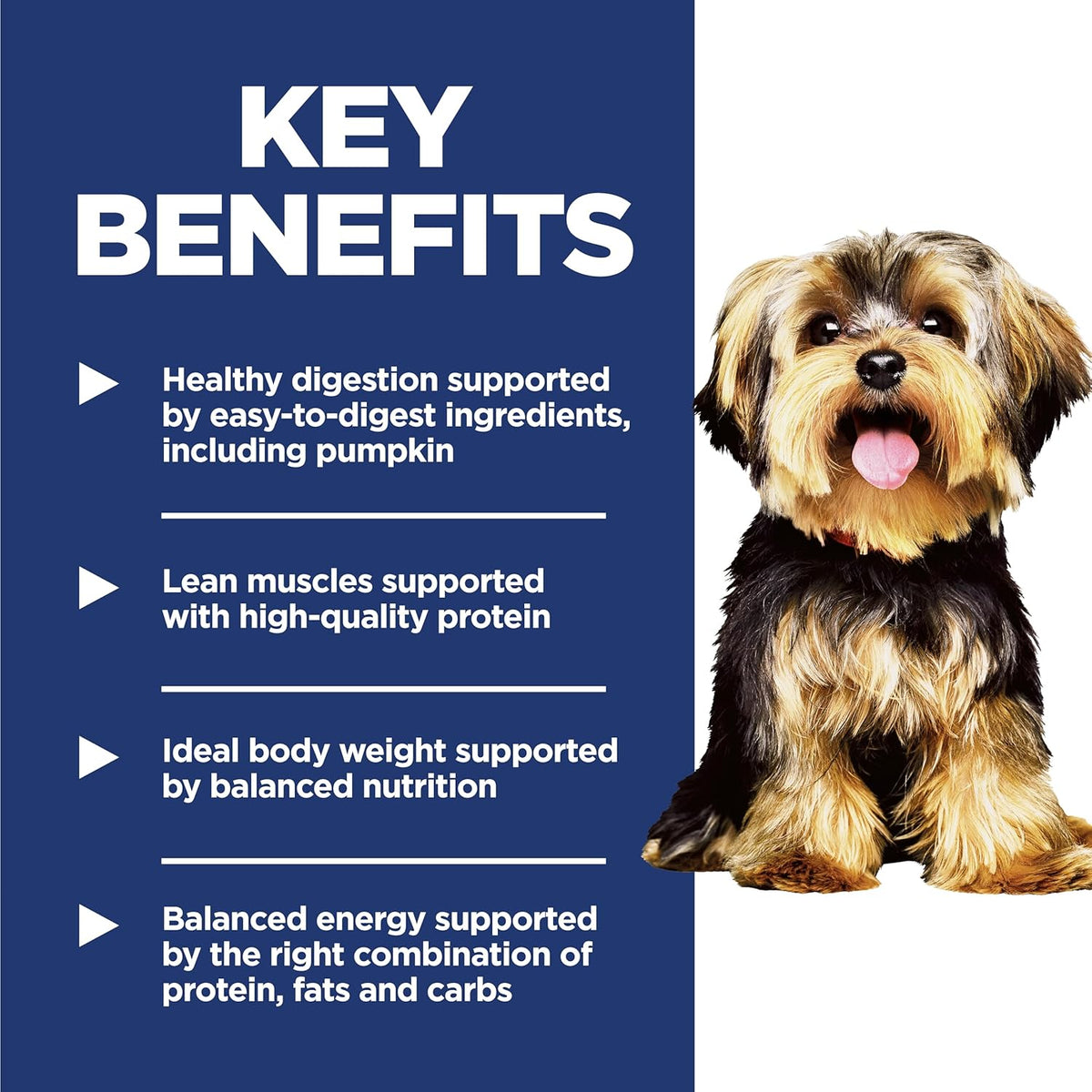 Hill's Science Diet Small & Mini, Adult 1-6, Small & Mini Breeds Premium Nutrition, Dry Dog Food, Chicken & Br - view 4