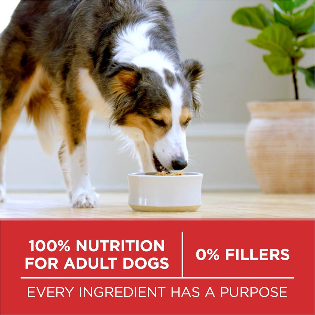 Purina ONE Dry Dog Food Lamb and Rice Formula - 31.1 lb. Bag - view 8