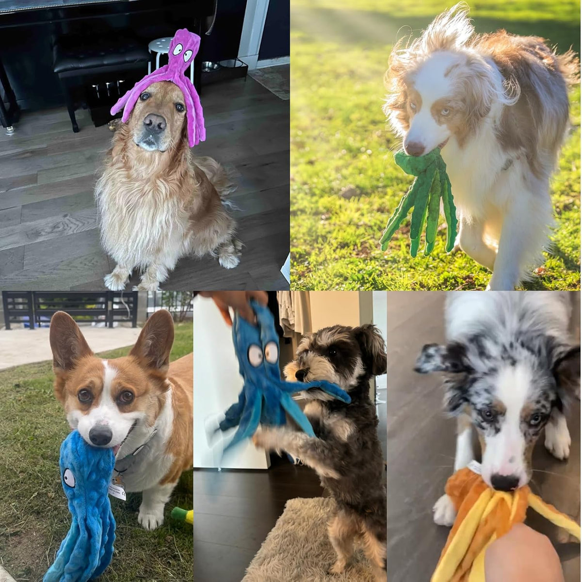 HGB Squeaky Dog Toys - Octopus No Stuffing Crinkle Plush Large Dog Toys to Keep Them Busy, Interactive Puppy T - view 9