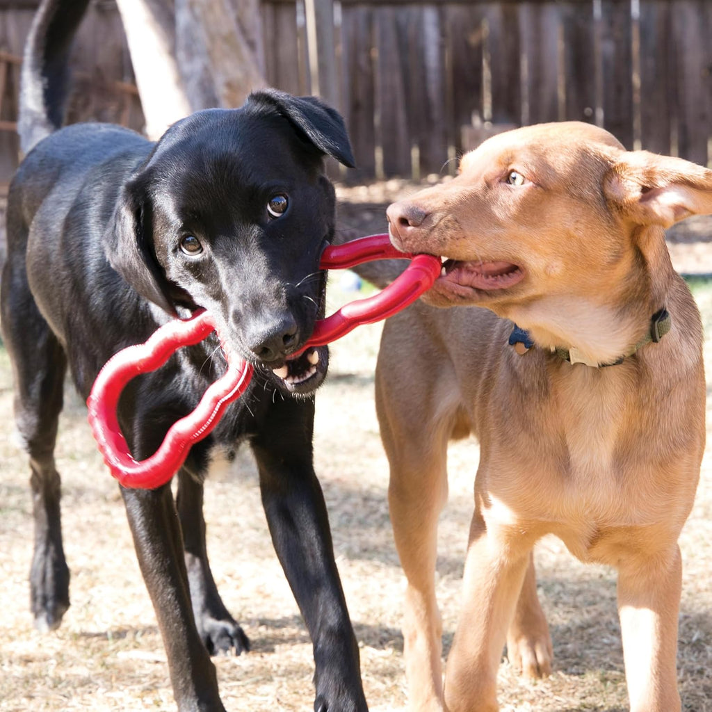 KONG Tug Toy - Dog Supplies for Tug of War - Natural Rubber Dog Toy for Outdoor & Indoor Playtime - for Medium - view 2