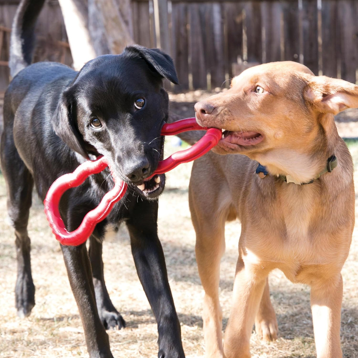 KONG Tug Toy - Dog Supplies for Tug of War - Natural Rubber Dog Toy for Outdoor & Indoor Playtime - for Medium - view 2