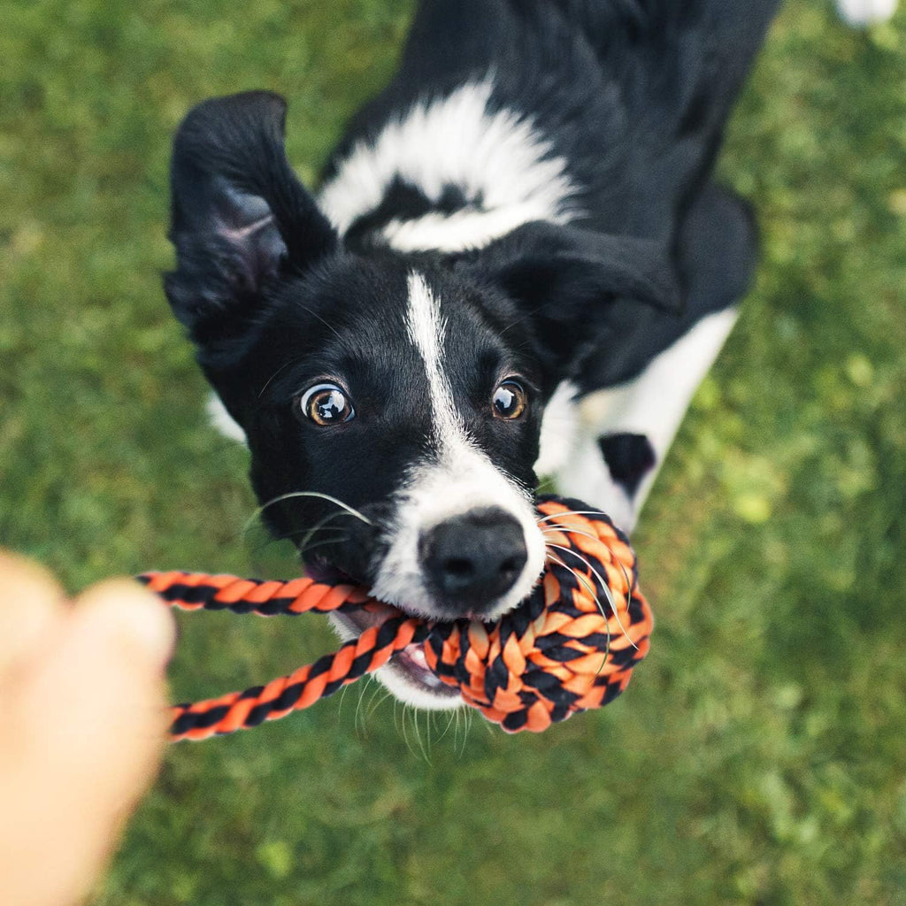 SHARLOVY Large Tough Chew Toys for Aggressive Chewers Large Breed,Heavy Duty Dental Rope Toys Kit for Medium D - view 6