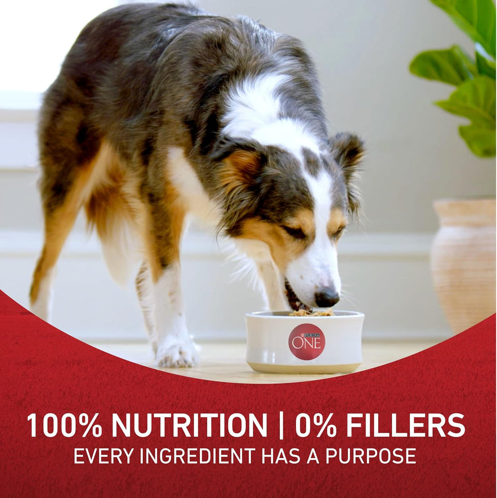 Purina ONE Chicken and Rice Formula Dry Dog Food - 16.5 lb. Bag - view 9
