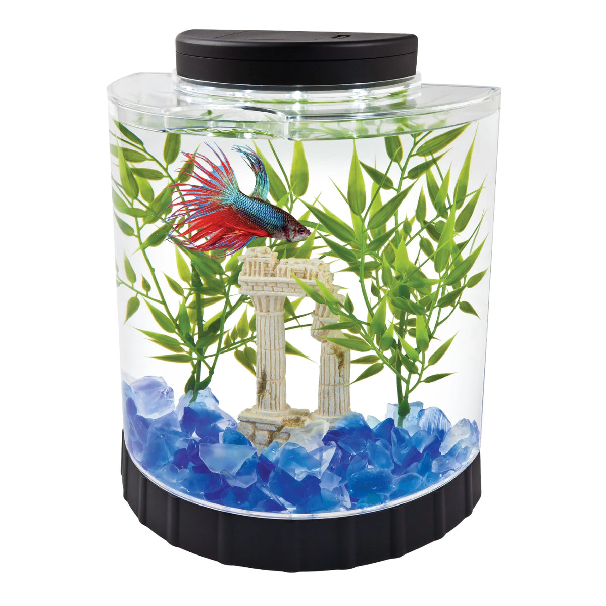 Tetra LED Half Moon Aquarium Kit, 1.1 Gallons, Small, Clear Plastic Fish Tank With Curved Front, Easy Feeding 