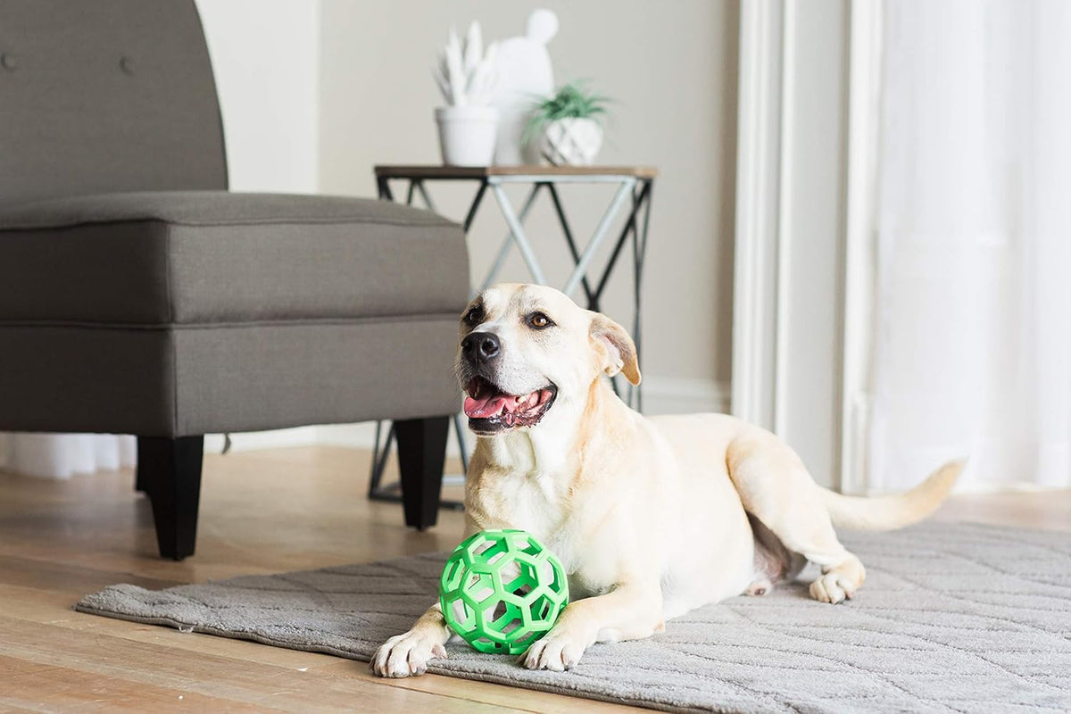 JW Pet Hol-ee Roller Dog Toy Puzzle Ball, Natural Rubber, Large (5.5 Inch Diameter), Colors May Vary - view 2