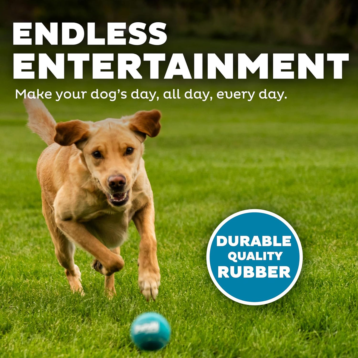 Outward Hound Squeaker Ballz – Squeaky Tennis Balls for Dogs Under 50 lbs, Interactive Dog Toy for Fetch & Tra - view 4